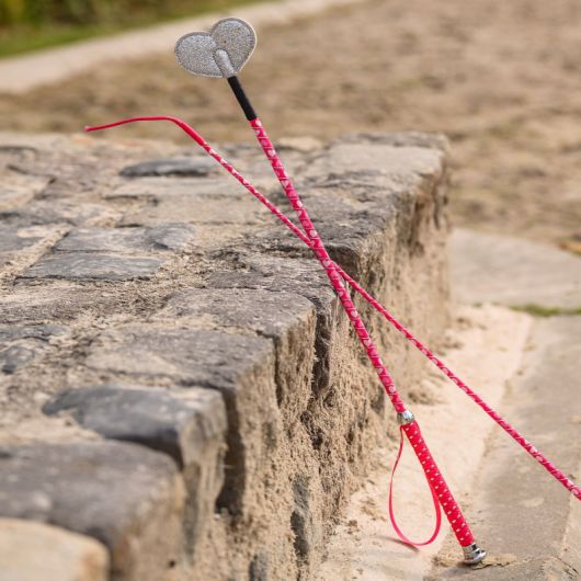 Cravache CSO Enfant coeurs 65 cm - Waldhausen