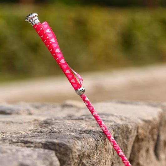 Cravache CSO Enfant coeurs 65 cm - Waldhausen