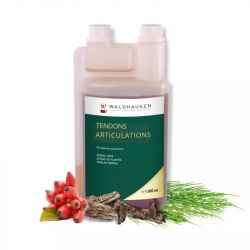 Gelenke solution - cartilage et articulation cheval Date courte - Waldhausen