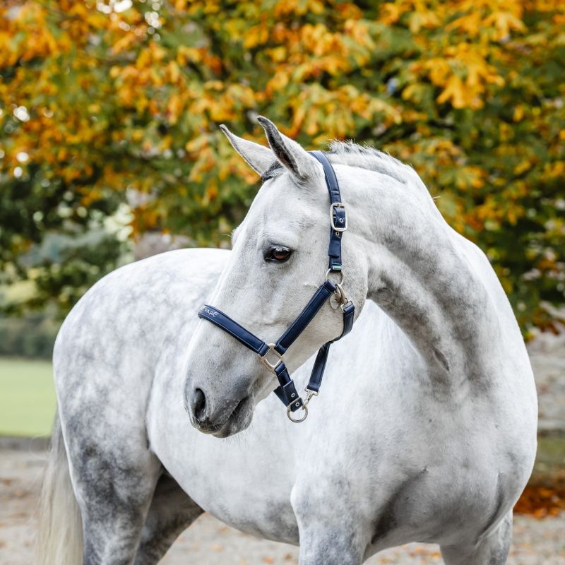 Licol cuir synthétique cheval Grooming - Horseware