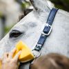 Licol cuir synthétique cheval Grooming - Horseware