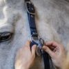 Licol cuir synthétique cheval Grooming - Horseware