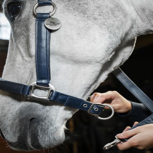 Licol cuir synthétique cheval Grooming - Horseware