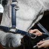 Licol cuir synthétique cheval Grooming - Horseware