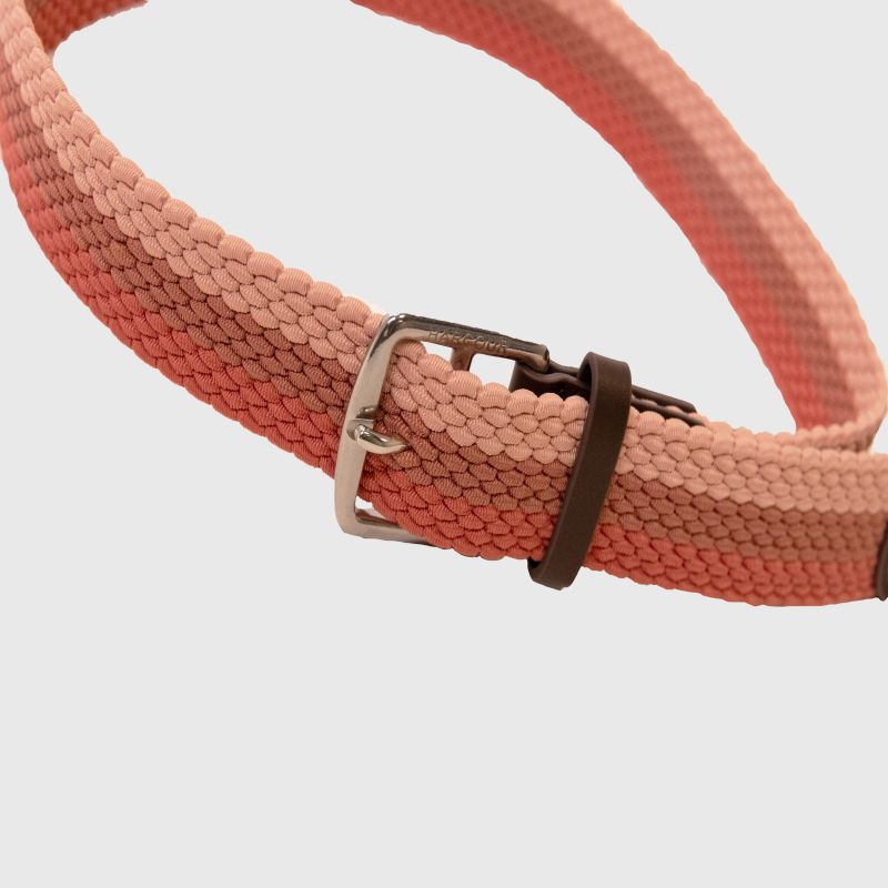 Ceinture équitation Brume - Harcour