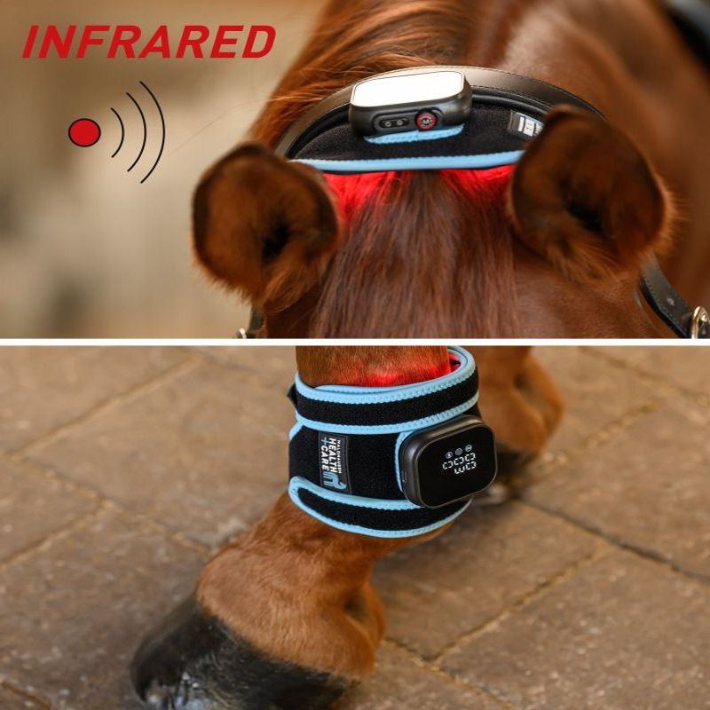 Infrared Flex Pad nuque et boulet - Luminotherapie cheval Health + Care - Waldhausen