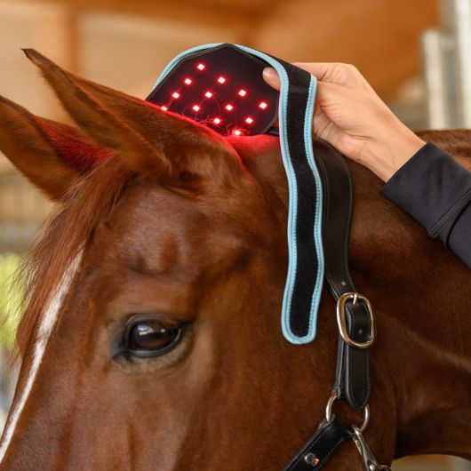 Infrared Flex Pad nuque et boulet - Luminotherapie cheval Health + Care - Waldhausen