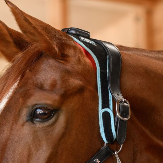 Infrared Flex Pad nuque et boulet - Luminotherapie cheval Health + Care - Waldhausen