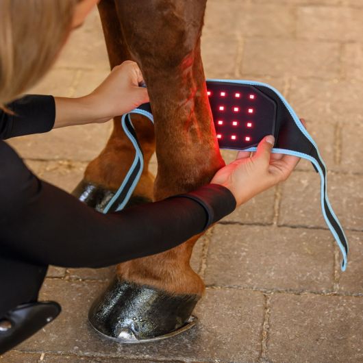 Infrared Flex Pad nuque et boulet - Luminotherapie cheval Health + Care - Waldhausen