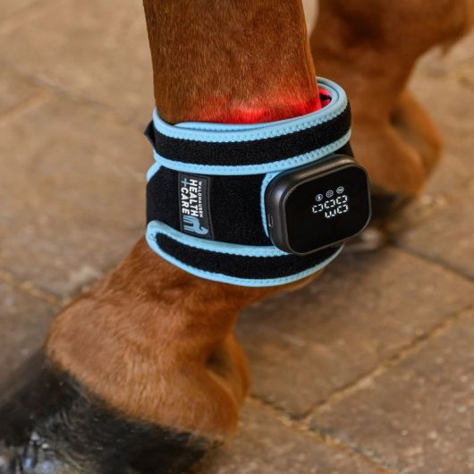 Infrared Flex Pad nuque et boulet - Luminotherapie cheval Health + Care - Waldhausen