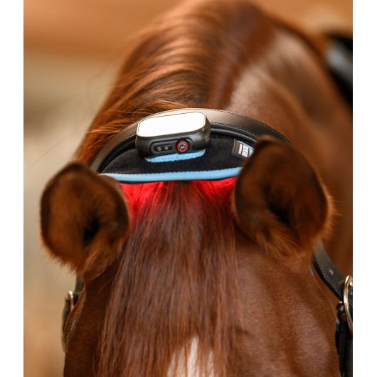 Infrared Flex Pad nuque et boulet - Luminotherapie cheval Health + Care - Waldhausen