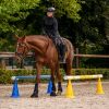 Plots cavaletti XL x8 - Waldhausen