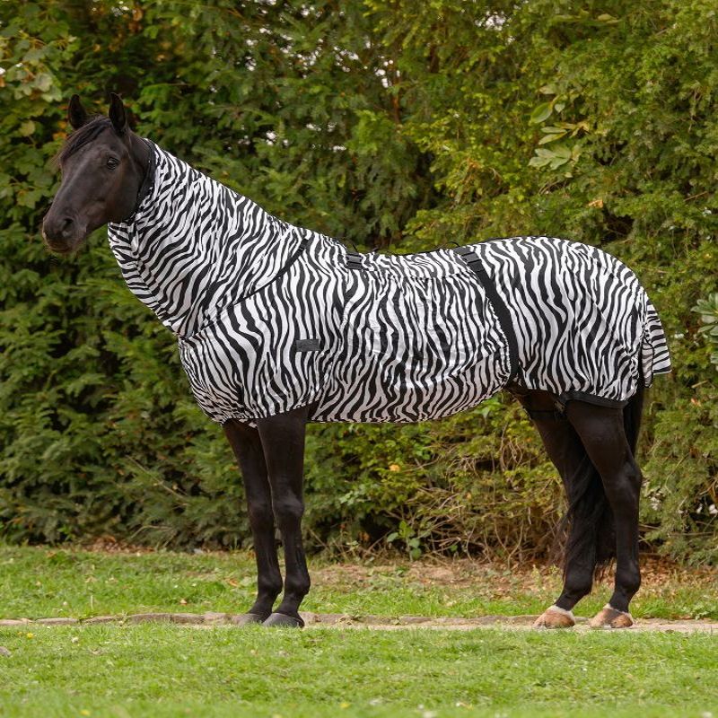 Couverture anti-dermite cheval Zebra Basic - Waldhausen