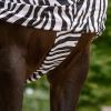 Couverture anti-dermite cheval Zebra Basic - Waldhausen