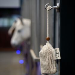 Savon dermite estivale cheval Active soap - Kevin Bacon's