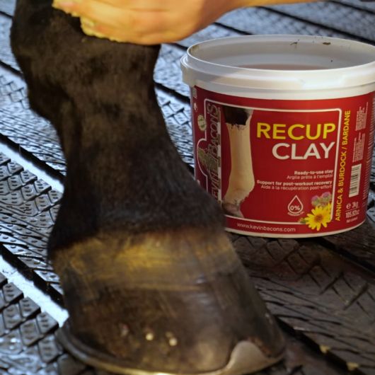 Recup Clay Argile de récupération cheval - Kevin Bacon's