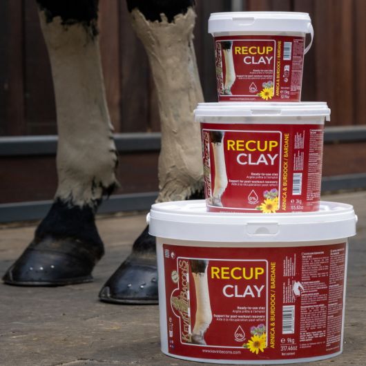 Recup Clay Argile de récupération cheval - Kevin Bacon's