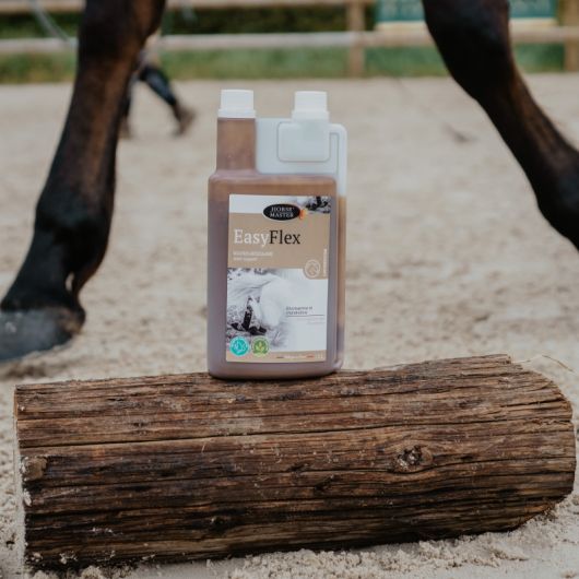 Easy Flex - soutien articulaire cheval -Horse Master