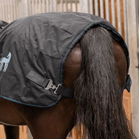 Couverture massante et chauffante chevalHealth + Care TecSupreme -Waldhausen