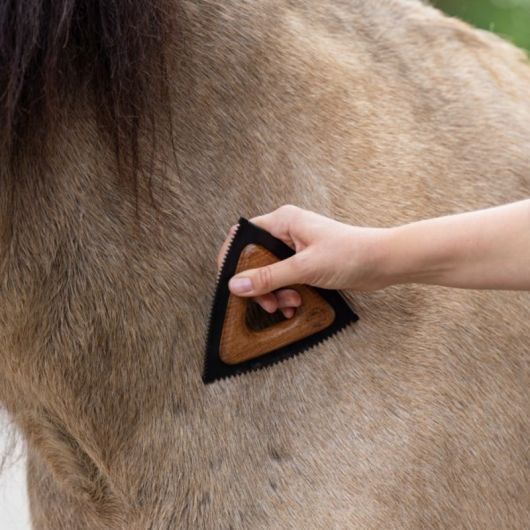 Etrille à mue cheval triangle - Magic Brush