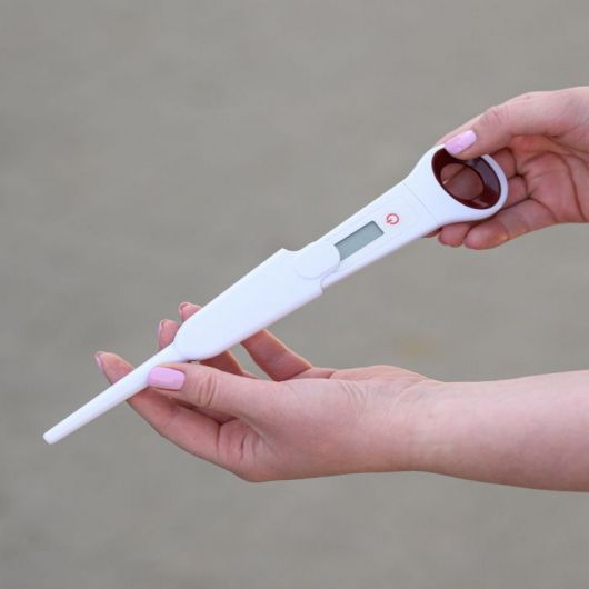 Thermometre numérique cheval - Waldhausen