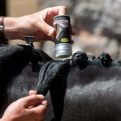 Cire à tresser crins et pions cheval Smart Grooming