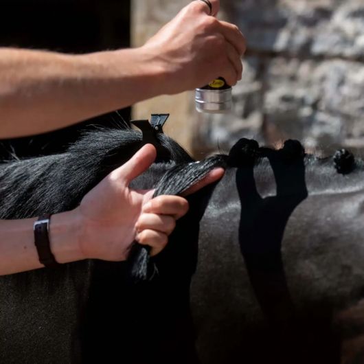 Cire à tresser crins et pions cheval Smart Grooming