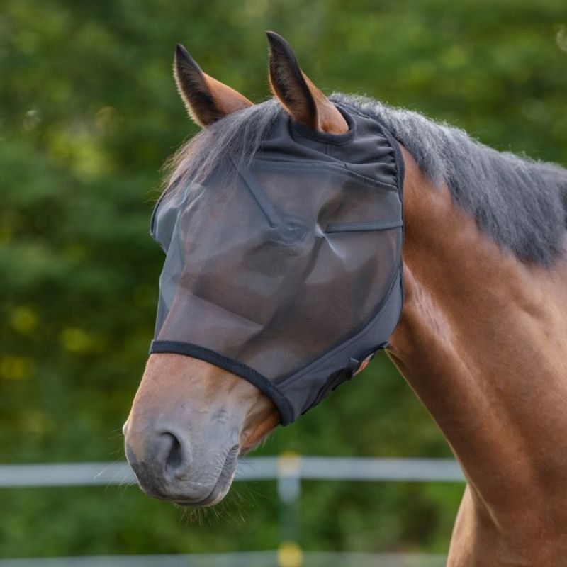 Masque anti-mouche sans oreilles Fino cheval