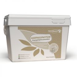 Harpagophytum pur - Phyto Master