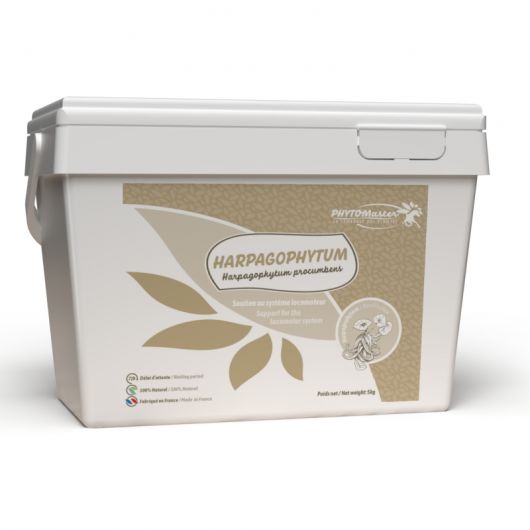 Harpagophytum pur - Phyto Master