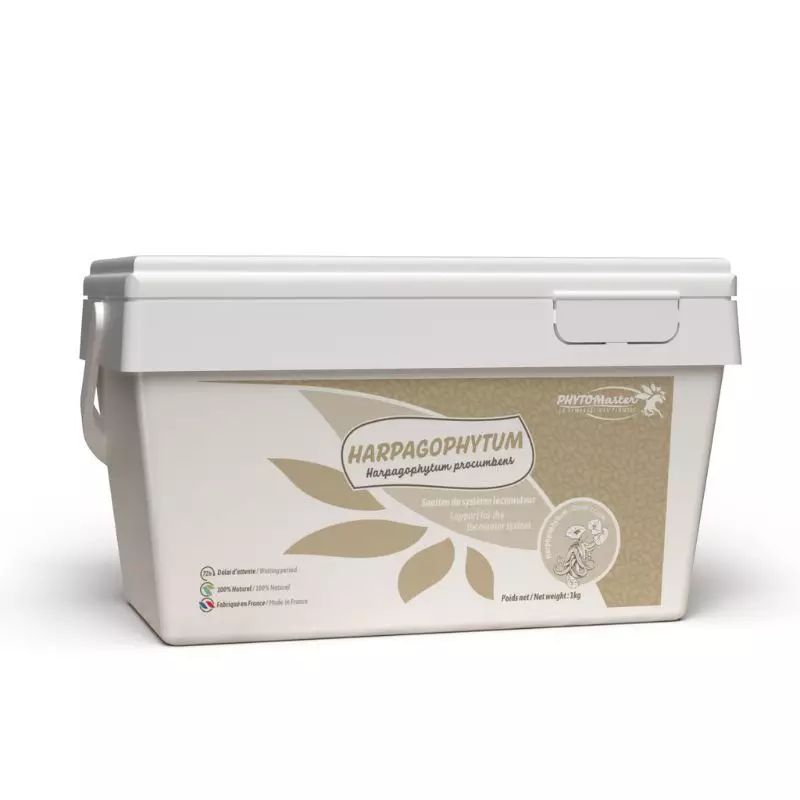 Harpagophytum pur - Phyto Master