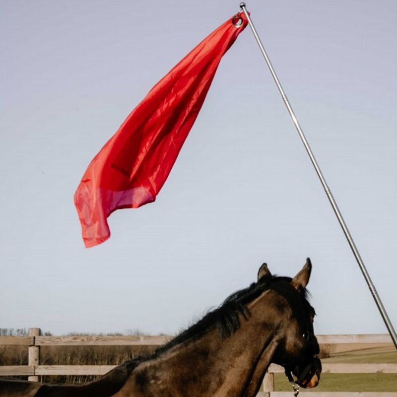 Drapeau de désensibilisation cheval téléscopique