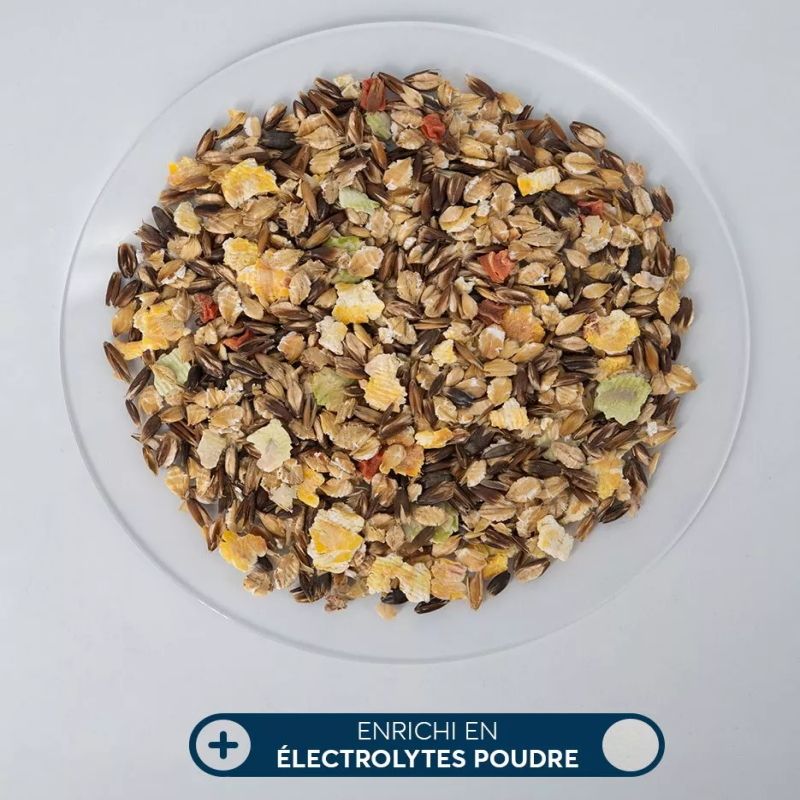 Mash Reverdy Electrolytes R hydratation Du Cheval mash-reverdy-electrolytes-r-hydratation-du-cheval