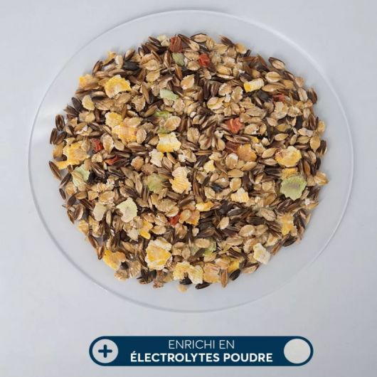 Mash cheval Electrolytes 750gr - Reverdy