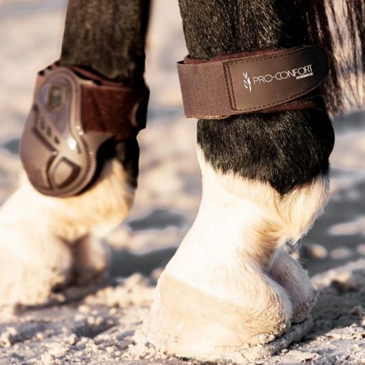 Protège boulets cheval Cordial - Pro-Confort Horsewear