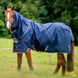 Couverture pré cheval avec couvre-cou 100g 900 deniers Amigo - Horseware