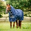 Couverture pré cheval avec couvre-cou 100g 900 deniers Amigo - Horseware