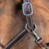 Licol cuir cheval boucles argent - HFI