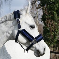 Licol nylon cheval paillettes mouton synthétique Star - Kavalkade
