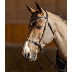Bridon sans mors cheval Bitless Freedom - HFI