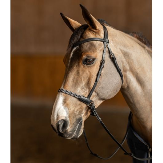 Bridon sans mors cheval Bitless Freedom - HFI