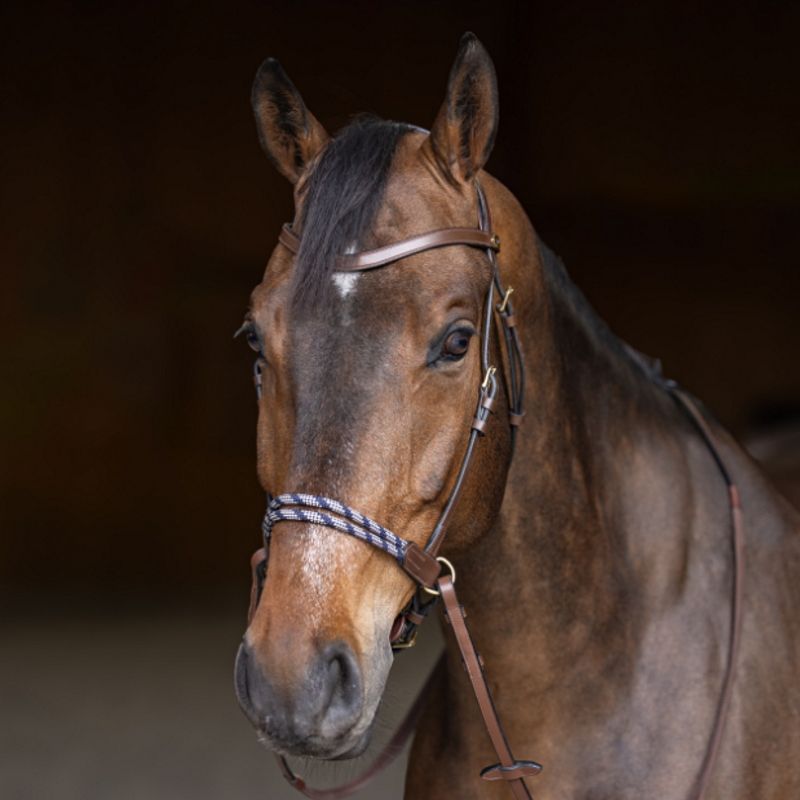 Bridon sans mors cheval Bitless Freedom - HFI