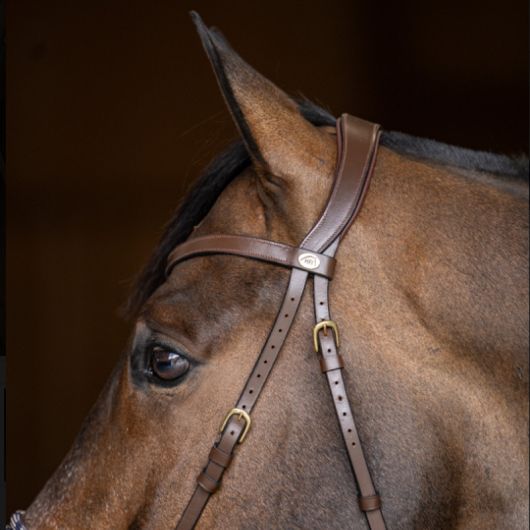 Bridon sans mors cheval Bitless Freedom - HFI