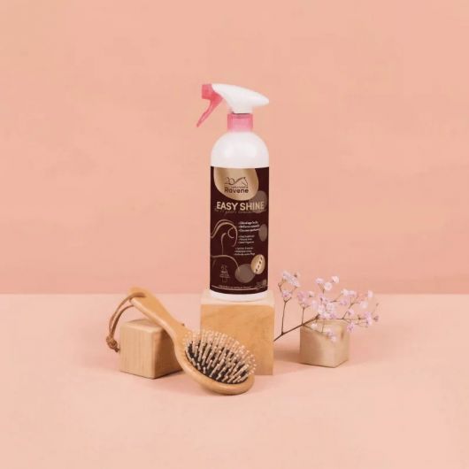 Easy Shine dêmelant cheval Edition limitée 20 ans 750 ml - Ravene