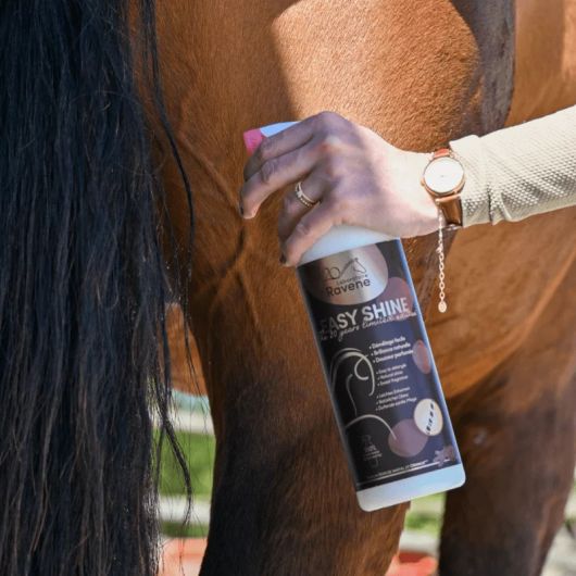 Easy Shine dêmelant cheval Edition limitée 20 ans 750 ml - Ravene