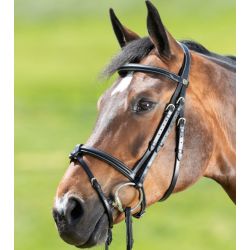 Bridon cheval cuir Anatomic - HFI