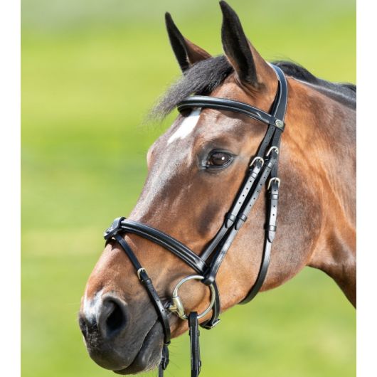 Bridon cheval cuir Anatomic - HFI