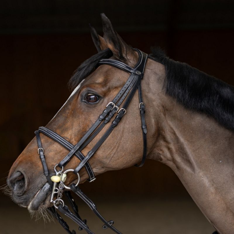 Bride cheval Double Jump - HFI