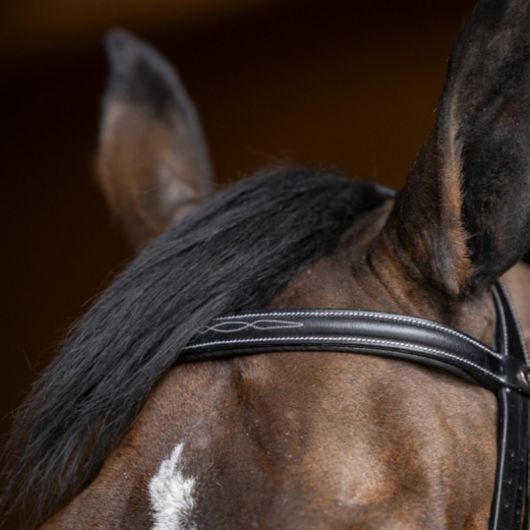 Bride cheval Double Jump - HFI