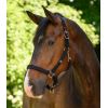Licol cheval Trinidad - Waldhausen